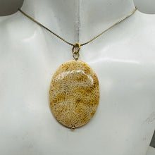 Load image into Gallery viewer, Tan White Fossilized Coral Flat Oval Pendant 40x30x5.5mm Natural Stone
