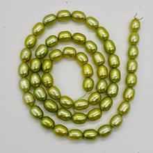 Load image into Gallery viewer, Fresh Water Pearl 16&quot; Strand Oval | 8x5mm | Golden Chartreuse Green | 56 Pearl |
