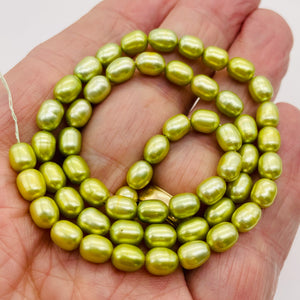 Fresh Water Pearl 16" Strand Oval | 8x5mm | Golden Chartreuse Green | 56 Pearl |