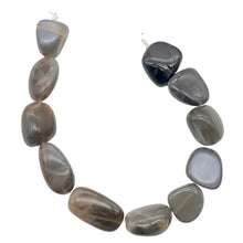 Load image into Gallery viewer, Gray Moonstone Half Strand | 23x13x8mm to 18x11x9mm | Gray | 11 Half-Strand |
