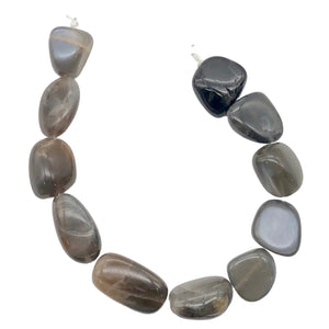 Gray Moonstone Half Strand | 23x13x8mm to 18x11x9mm | Gray | 11 Half-Strand |