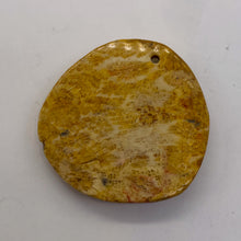 Load image into Gallery viewer, Fossilized Coral Round Pendant Bead | 41x40x7mm | Beige Orange |
