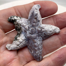 Load image into Gallery viewer, Tree Agate Carved Starfish Pendant Bead | 60x58x11mm | Gray White | 1 Bead |
