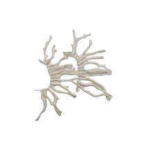 Load image into Gallery viewer, Coral Branch Beads | 50x3 to 41x3mm | White | 12 Beads |
