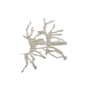 Coral Branch Beads | 50x3 to 41x3mm | White | 12 Beads |