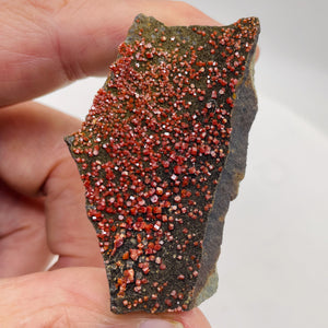 Chalcopyrite 30g Display Specimen | 55x35x15mm | Magenta | 1 Display Crystal |