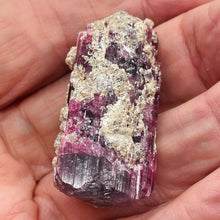 Load image into Gallery viewer, Rubellite Crystal Natural 31g Display Specimen | 44x22x20mm | Dark Pink |
