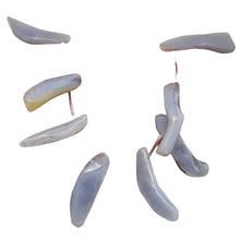 Load image into Gallery viewer, Blue Chalcedony Natural Beads 95g Strand | 47x7 to 45x7mm | 16 Beads |
