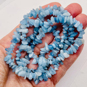 Aquamarine 32" Chip Strand | 11x8x5 to 7x5x4mm | Blue | 200 Beads |