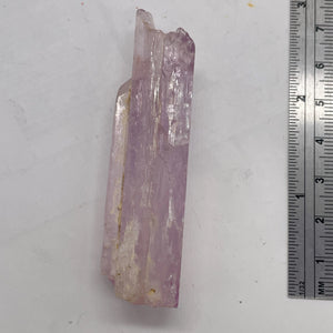 Kunzite 45 Gram Complete Natural Crystal| 71x19x18 | Lavender| Display Specimen|