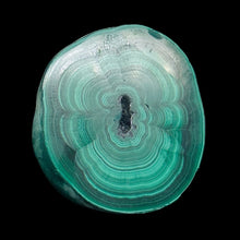Load image into Gallery viewer, Malachite 37g Polished Round Stalactite Slice | 1 Specimen | | 46x41x7mm | Green
