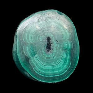 Malachite 37g Polished Round Stalactite Slice | 1 Specimen | | 46x41x7mm | Green