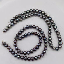 Load image into Gallery viewer, 3 Huge Icy Harvest Moon Freshwater Pearls 002262
