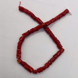 Natural AAA Red Coral Branch Bead Strand | 4x6mm | 44 Beads |