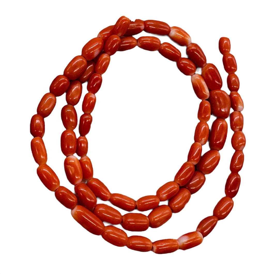 Coral Oval Graduated Beads Strand | 16