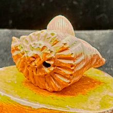 Load image into Gallery viewer, Mermaid in a Nautilus Shell Signed Netsuke Bead | 25x21x14mm | Brown
