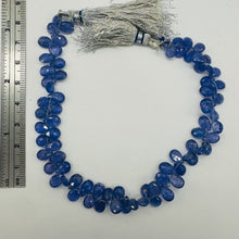Load image into Gallery viewer, Tanzanite AAA Graduated Briolette Bead Strand | 8&quot; Long | Lavender | 75 Strand |
