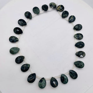 Green Kambaba Jasper Faceted Briolette Bead Strand 107304