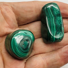Load image into Gallery viewer, Malachite Polished Gemstone Nugget | 37x25 to 25x17mm|Green| 2 Display Specimen|
