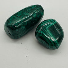 Load image into Gallery viewer, Malachite Polished Gemstone Nugget | 37x25 to 25x17mm|Green| 2 Display Specimen|
