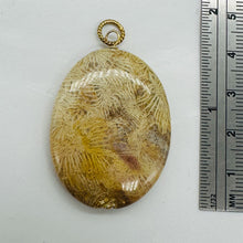 Load image into Gallery viewer, Tan White Fossilized Coral Flat Oval Pendant 40x30x5.5mm Natural Stone
