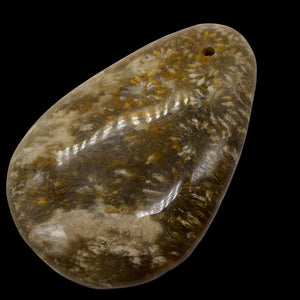 Fossilized Coral Teardrop Pendant Bead | 60x42x8 | Gray White | 1 Bead |