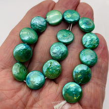 Load image into Gallery viewer, Green Wave 12 to 13mm Freshwater Coin Pearl 8 inch Strand 9442HS
