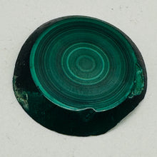 Load image into Gallery viewer, Malachite 351g Polished Round Stalactite Slice | 45x42x7mm | Green | 1 Specimen|
