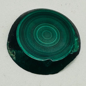Malachite 351g Polished Round Stalactite Slice | 45x42x7mm | Green | 1 Specimen|