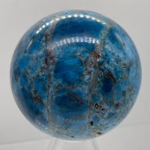 Load image into Gallery viewer, Apatite 366g Meditation Sphere | 2.44&quot; | 61mm | Blue, White | 1 Display Specimen
