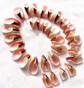 Natural Shell Divine Spiral Focal Bead Strand - PremiumBead Primary Image 1