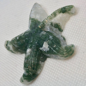 Druzy Tree Agate Carved Starfish Pendant Bead 006714Q - PremiumBead Alternate Image 2