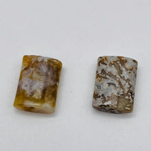 Load image into Gallery viewer, 2 Crazy Lace Agate 14x10mm Rectangle Beads 4584
