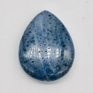 Coral Fossilized Teardrop | 40x30x8 mm | Blue | 2 Pendant Beads |