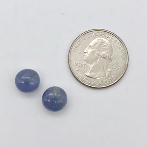 Rare Tanzanite Smooth Roundel Beads | 2 Bds | 9.5x7mm| Blue | 12 cts | 10387d - PremiumBead Alternate Image 4