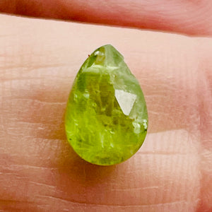 Garnet Grossular Flat Faceted Briolette Pendant Bead| 9x6x4mm (2ct) | Green | 1