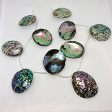 Load image into Gallery viewer, Abalone Shell Briolette 32x27x5 to 45x39x11mm Bead Strand 109909 - PremiumBead Alternate Image 2
