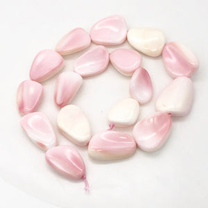 Conch Shell. Pear Shaped | 27x19x8 to 28x22x11 | Pink White | 2 Bead(s)