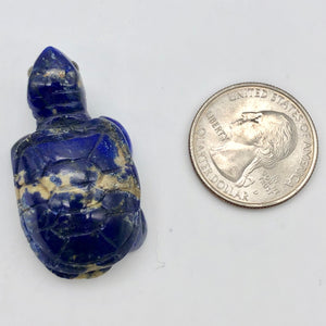 Natural Lapis Turtle Figurine or Pendant |40x21x13mm | Blue | 79.4 carats - PremiumBead Alternate Image 5
