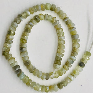 Alexandrite Cats Eye Faceted Rondell Bead Strand | 3 mm | Green | 200 Beads |