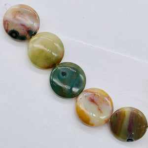 Ocean Jasper Graduated Round | 25x8 to 23x8 mm | Multi-color | 17 Beads
