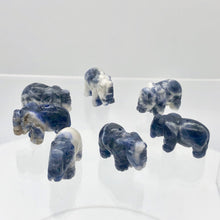 Load image into Gallery viewer, Wild 2 Hand Carved Sodalite Elephant Beads | 22.5x21x10mm | Blue white - PremiumBead Alternate Image 6
