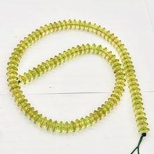 Load image into Gallery viewer, Amber Faceted Roundel Beads | 8x4mm | Green | 10 Bead(s)
