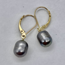 Load image into Gallery viewer, South Sea Pearl 14k Gold Lever Back Drop Earrings | 1&quot; Long | Gray | 1 Pair |
