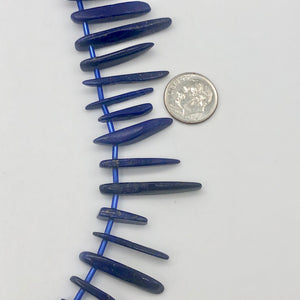 Natural Lapis Lazuli Pendant Bead Strand |15x3x5mm - 28x4x5mm| Blue | 53 Beads | - PremiumBead Alternate Image 2