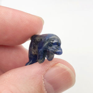 Unique Carved Sodalite Jumping Dolphin Figurine | 25x14x7.5mm | Blue White - PremiumBead Alternate Image 3