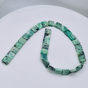 Mojito Natural Green Turquoise Square Coin Bead Strand 107412C