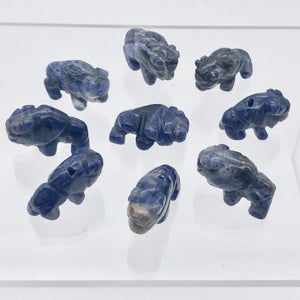 Abundance 2 Sodalite Hand Carved Bison / Buffalo Beads | 21x14x7.5mm | Blue - PremiumBead Alternate Image 10