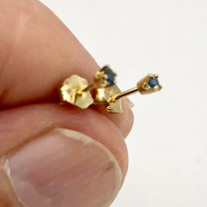Blue Sapphire 14K Gold Earrings | 2mm| Blue | Stud | - PremiumBead Primary Image 1