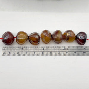 Dark Gemmy Rounded Carnelian Agate Beads | Aprox 17x15mm | Rounded | 7 Beads | - PremiumBead Alternate Image 3